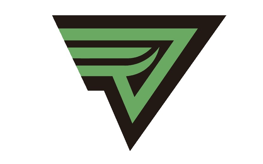 韦林工业内窥镜